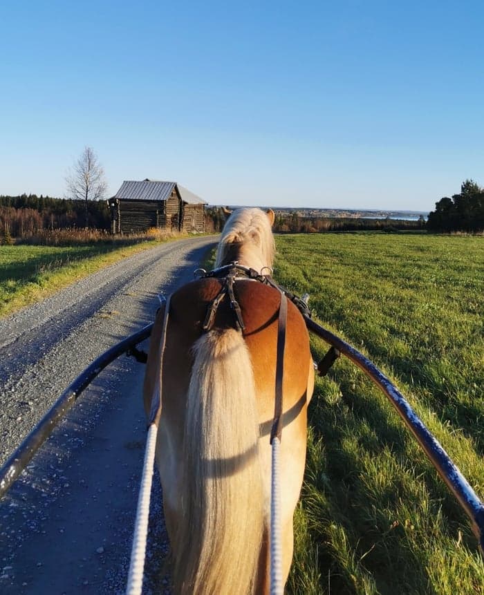 Media 4 av Trevlig kille 