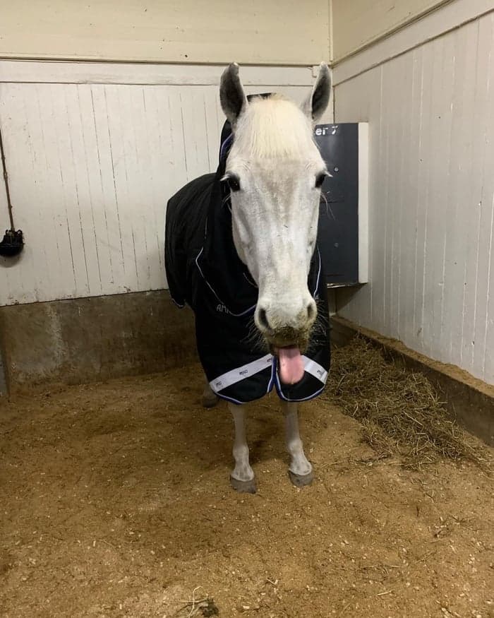 Media 1 av Reneharney Boy❤️