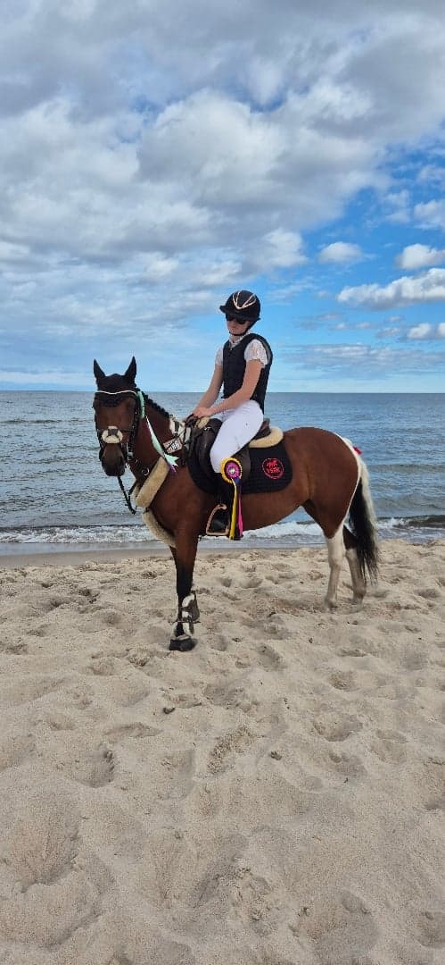 Bild 2 av Hopp ponny med power