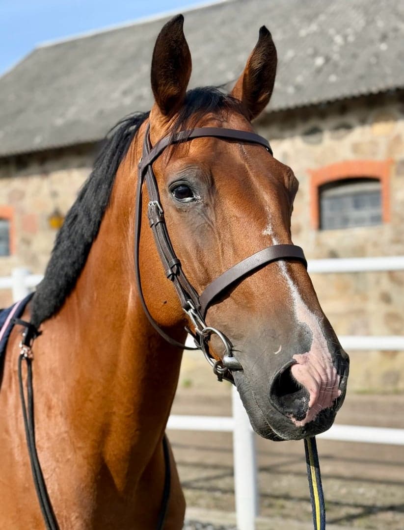 Bild 1 av Balzac de hus Z