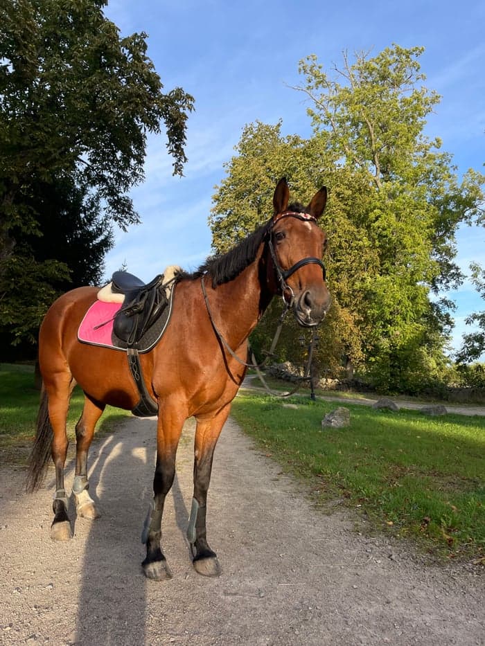 Media 6 av Portemonnaie (Penny)