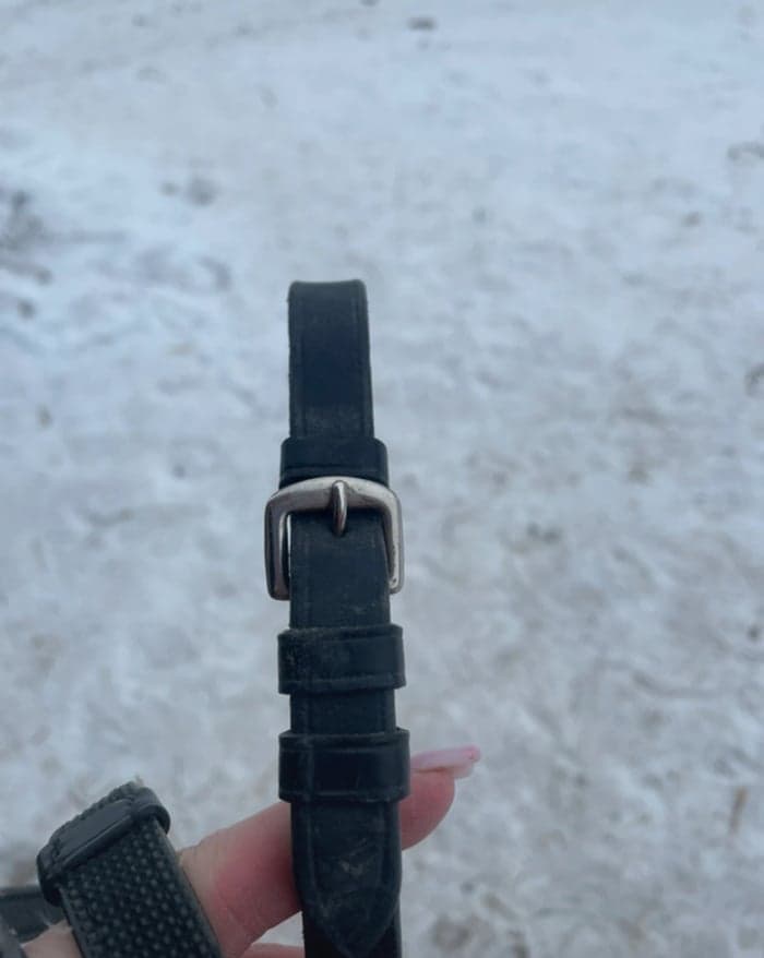 Media 3 av Svarta tyglar