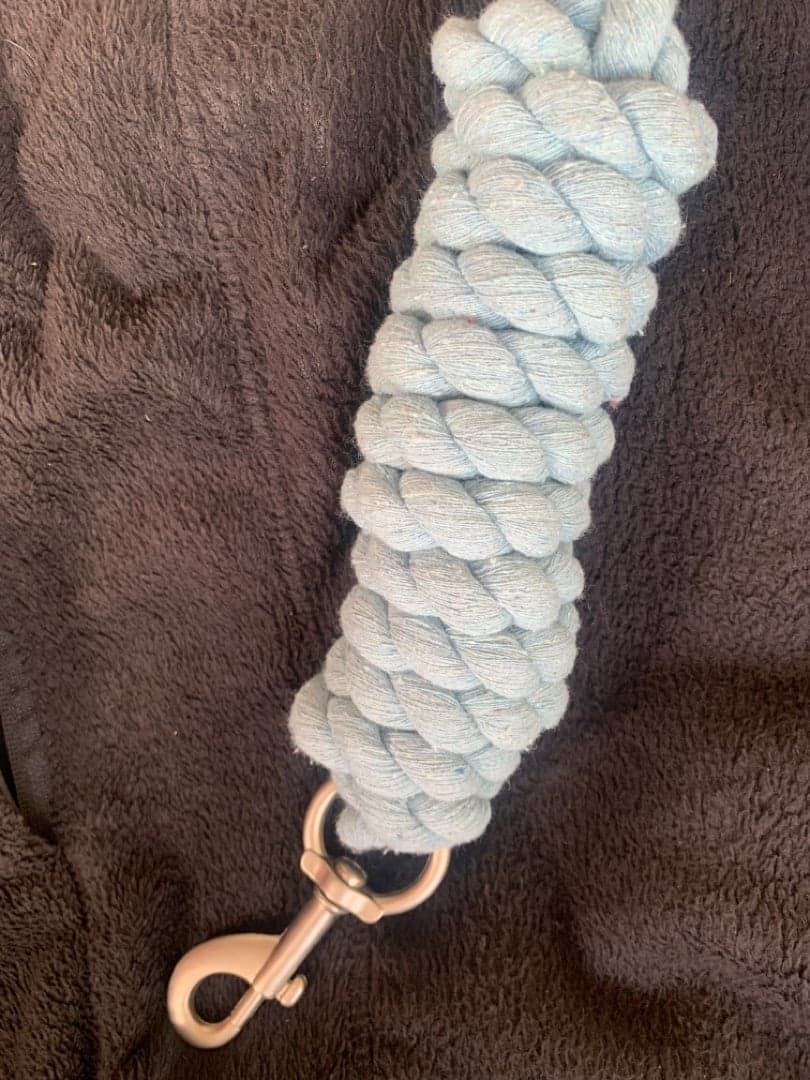 Bild 1 av Ljusblått grimskaft