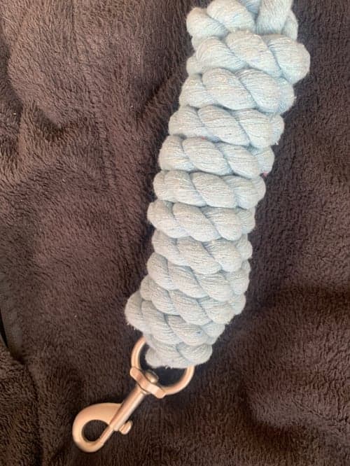 Bild av Ljusblått grimskaft