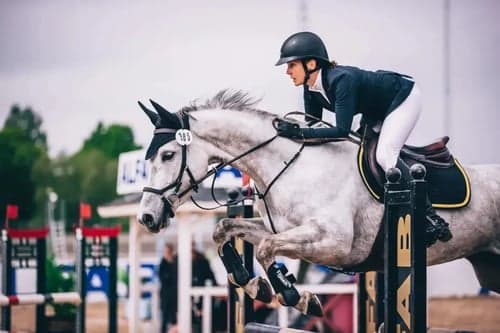 Hjälp med försäljning/förmedling av din häst