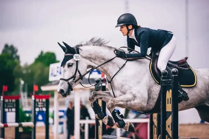 Media 1 av Hjälp med försäljning/förmedling av din häst