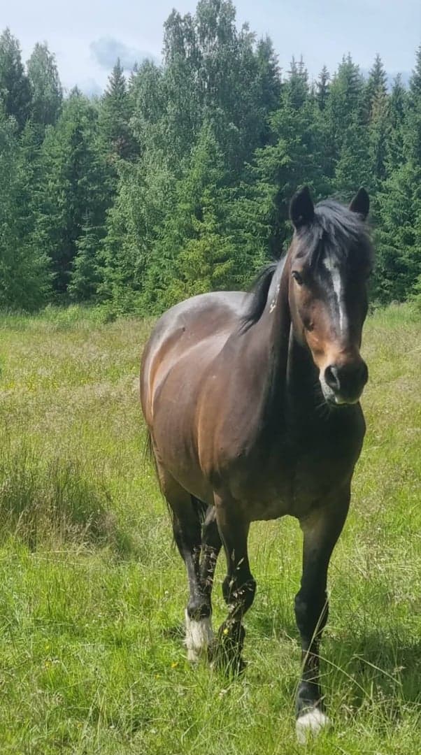 Bild 2 av Min Lilla Dajm