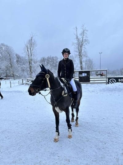 Inlägg 139 av Hoppning