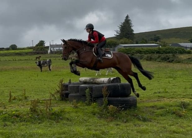 Bild 1 av Pairc na Lios