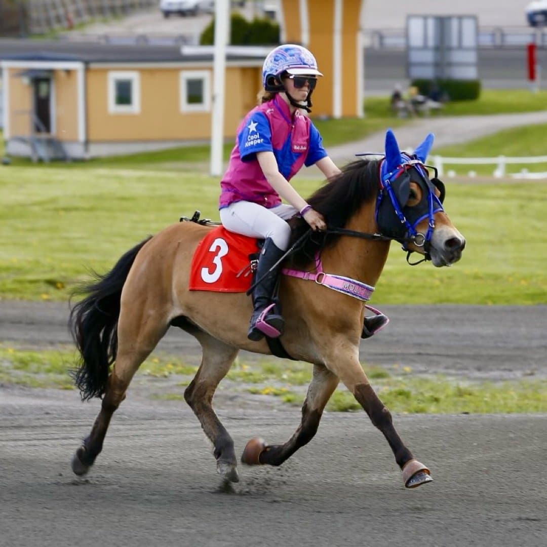 Bild 1 av Min Lilla Amberley