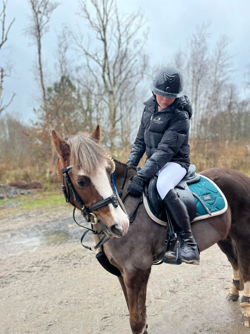 Bild 1 av Arhults Felizia