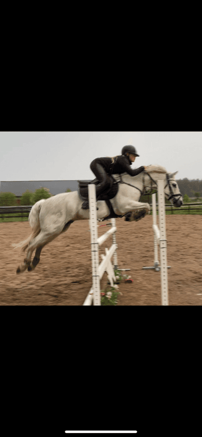 Inlägg 63 av Allround