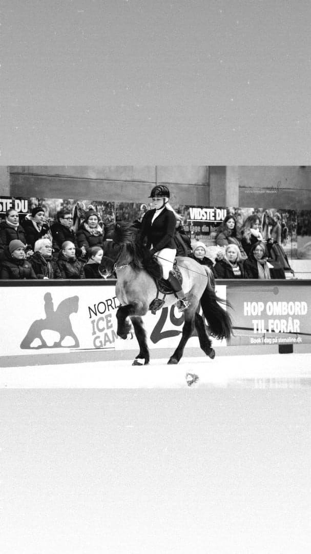 Image 1 of Mustang Från Flottatjärn