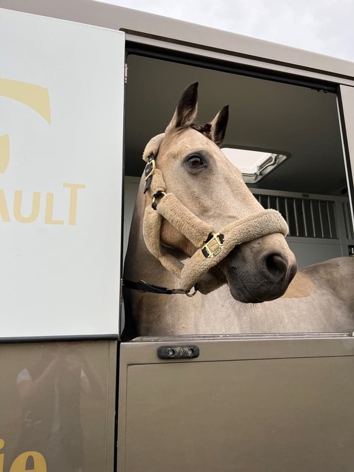 Media 1 av Munsboro Dun Deal