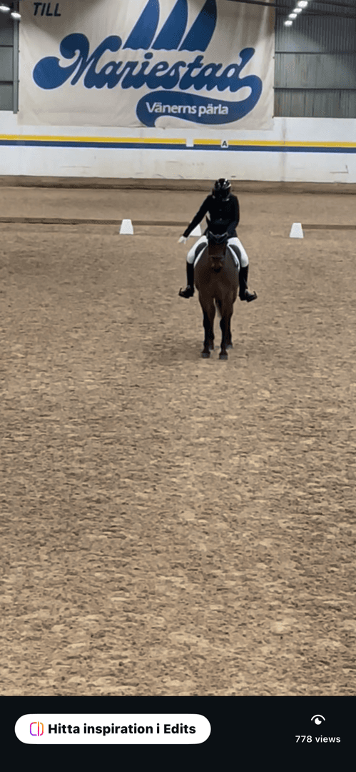 Media 1 av Ballinasloe Hero