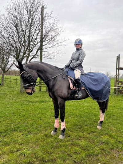 Inlägg 18 av Varmblodig ridhäst