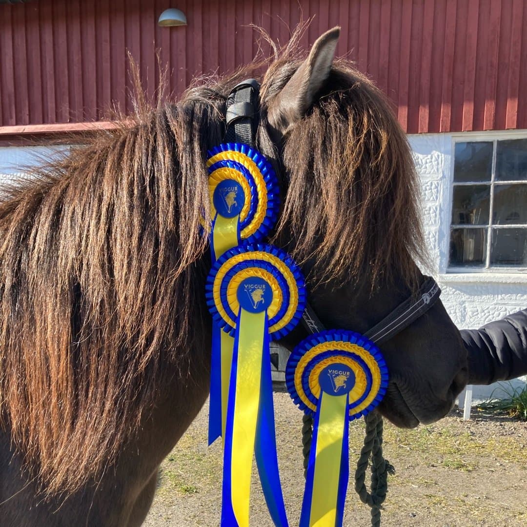 Bild 1 av Þokka frá Bergi