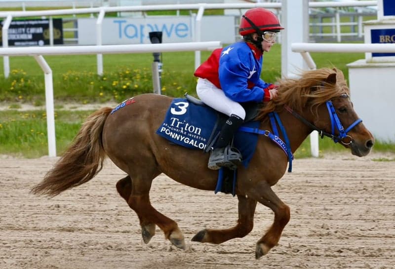 Bild 3 av Träning och tävling ponnygalopp