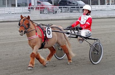 Inlägg 69 av Trav med titeln Första starten tillsammans❤️