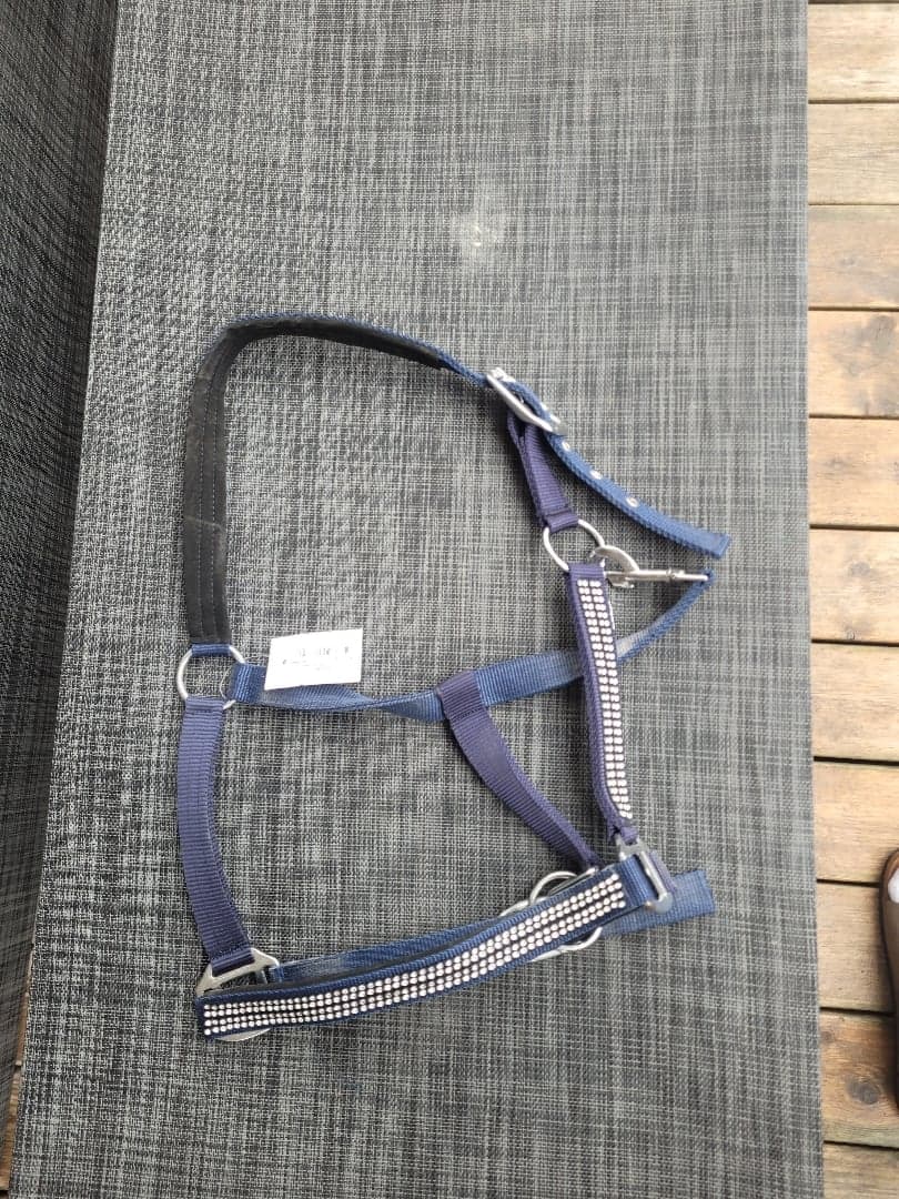 Bild 1 av Blue halter