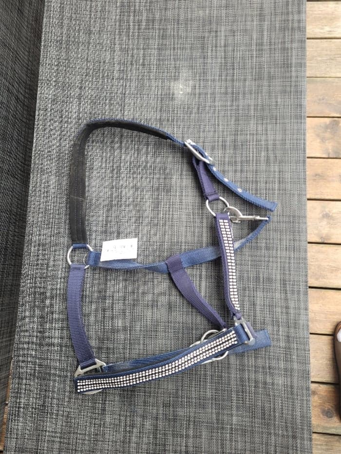 Media 1 av Blue halter