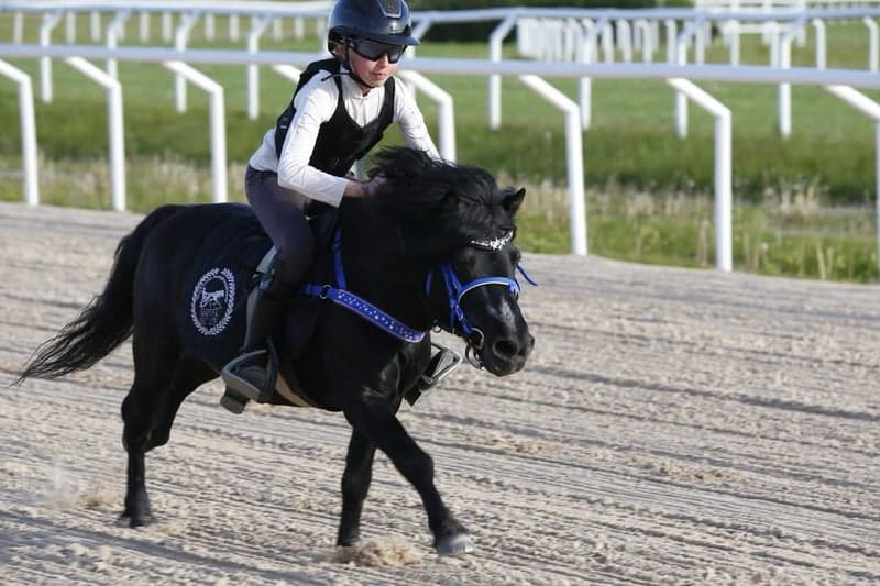 Bild 4 av Stenstugu Dunder