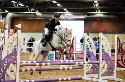 Inlägg 36 av Allround