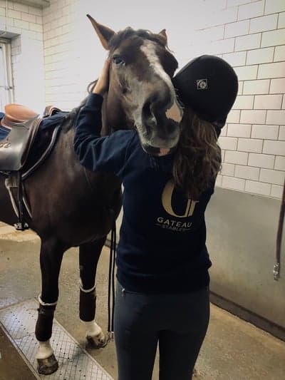 Post 6 of Selle Français