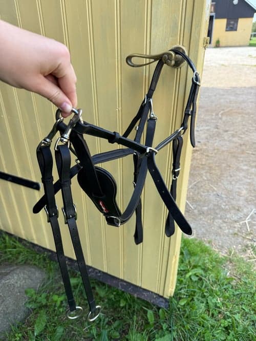 Image of Svart förbygel med martingal från Equipe