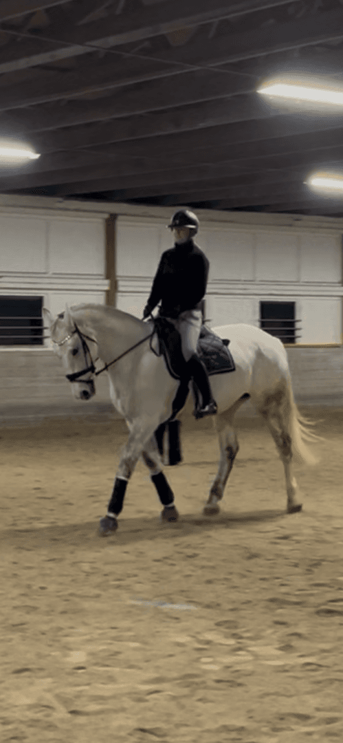 Bild av Medryttare sökes i Alvesta