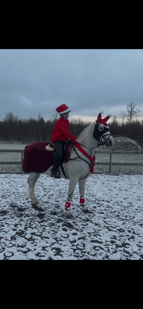 Bild 1 av Cubai du vi