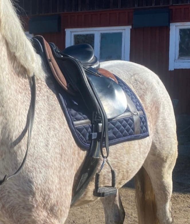 Image 2 of Mörkblått schabrak från Equestrian Stockholm