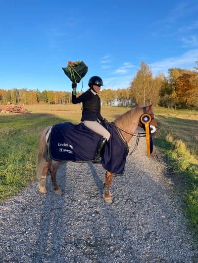 Inlägg 453 av Hoppning