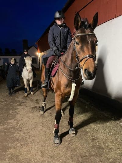 Inlägg 24 av Halvblod