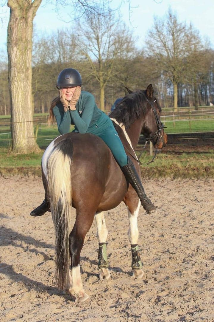 Bild 2 av Sockersöt och trygg valack