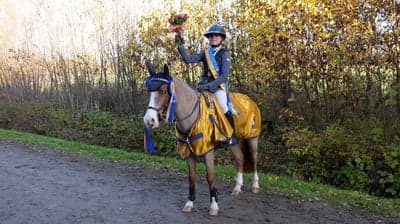Inlägg 363 av Hoppning med titeln Guld