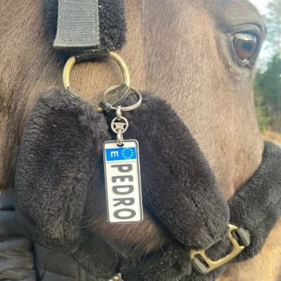 Profile picture of Mia Karlsson