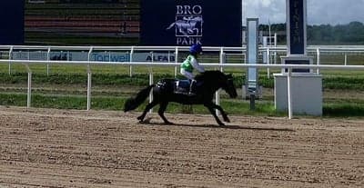 Inlägg 40 av Galopp med titeln Vinst i Triton Cup deltävling 1 Bro Park 🌟🥇🏆