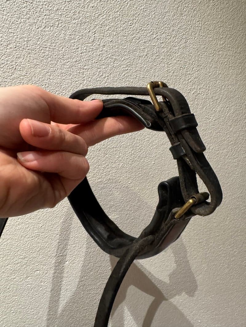 Bild 4 av Svart ponnynosgrimma