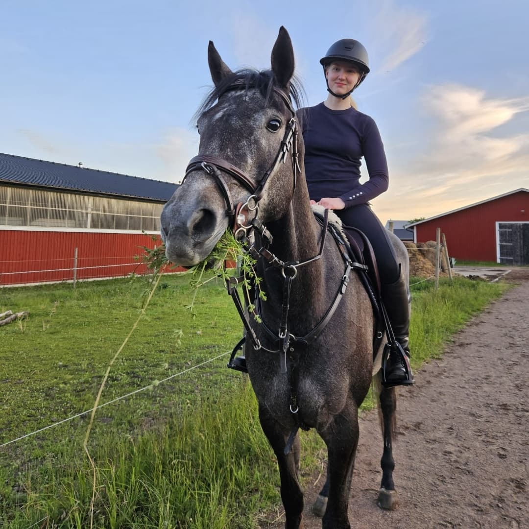 Bild 1 av Cassandra