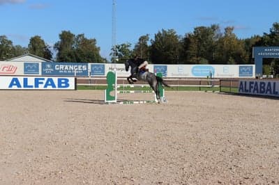 Inlägg 64 av Allround