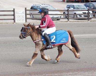 Inlägg 26 av Monté med titeln Monte