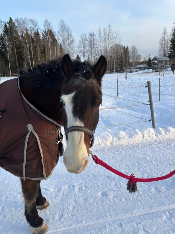 Media 1 av Lill ivar