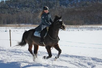 Inlägg 44 av Allround