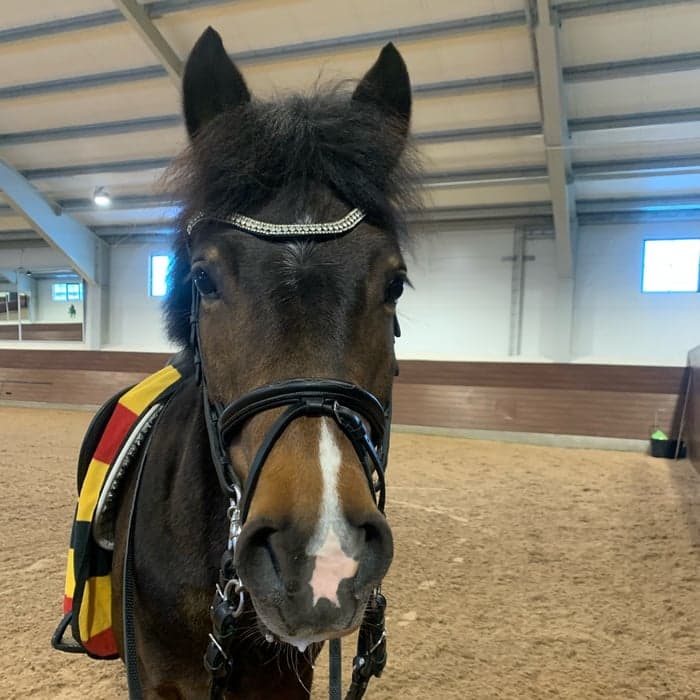 Media 1 av Esmeralda