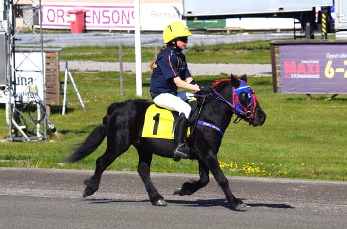 Media 3 of Nordanåkers Magnum