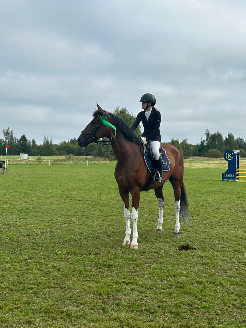 Bild 1 av Duvibis Mister