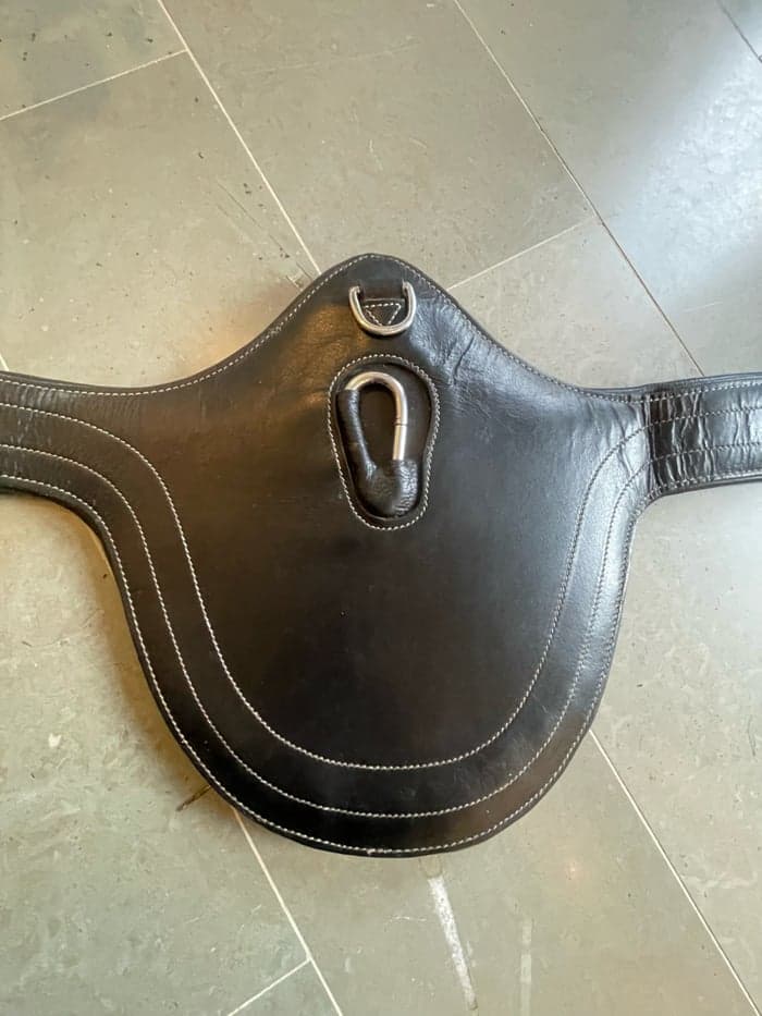 Media 3 av Svart sadelgjord