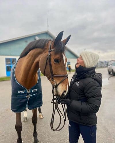 Inlägg 11 av Danskt varmblod med titeln Fina Zucce felfri i 140 ⭐️🎉