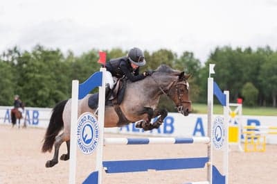 Inlägg 97 av Allround